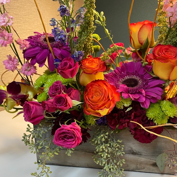 Meet your Posher, Tonja - Picture 1 of 1